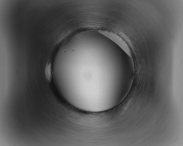X0000093160020200710101202