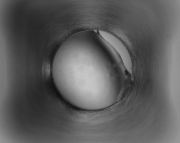 X0000093160021200710101202