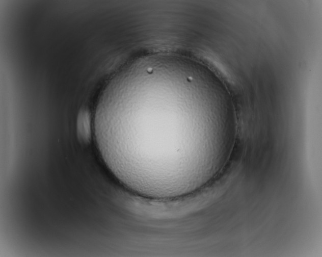 X0000093160022200710101202
