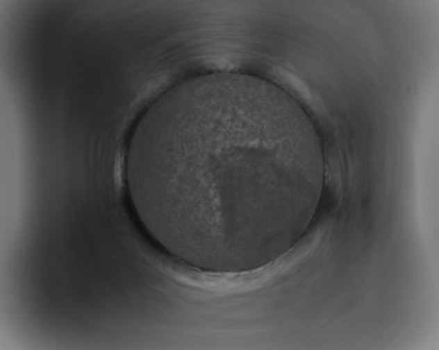 X0000093160023200710101202