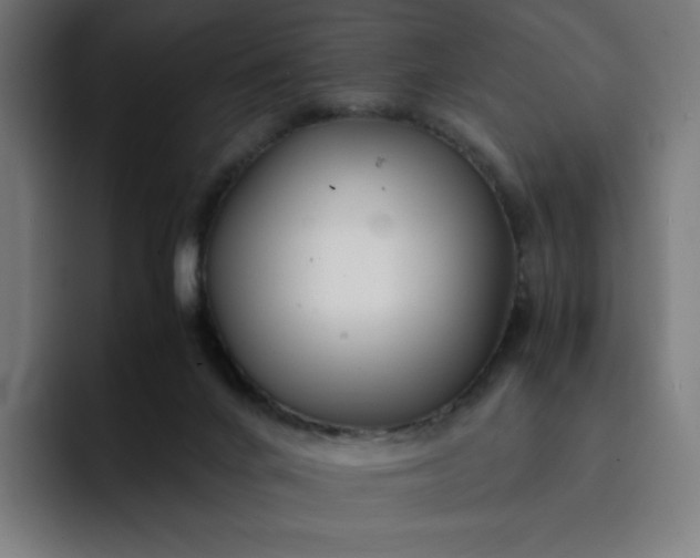 X0000093160024200710101202