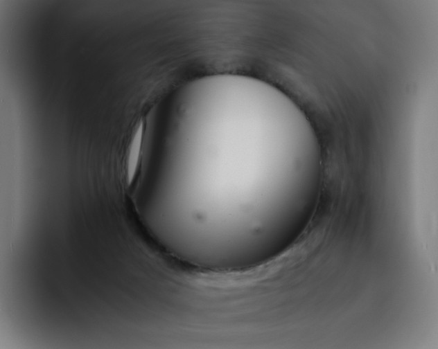 X0000093160025200710101202