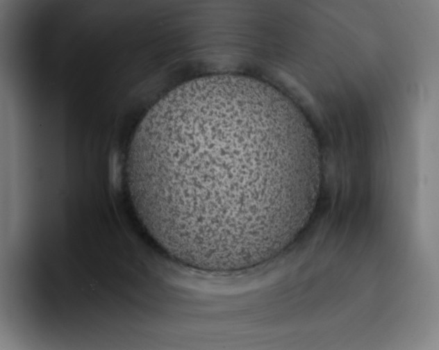 X0000093160026200710101202