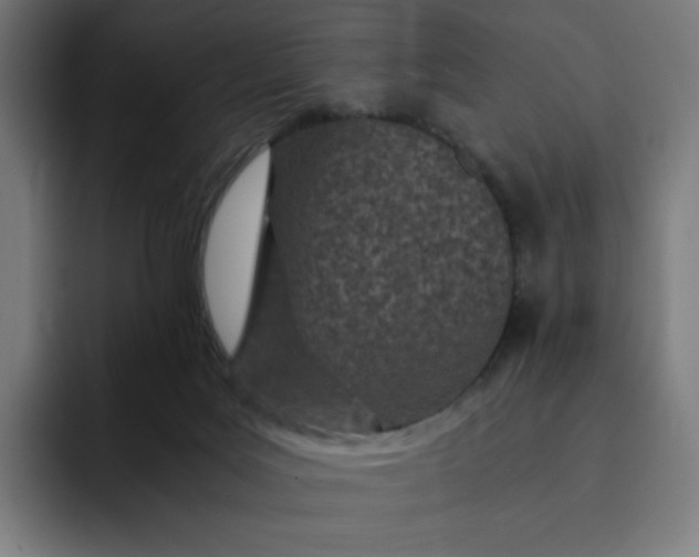 X0000093160027200710101202