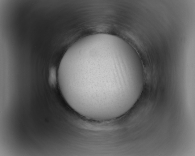 X0000093160028200710101202