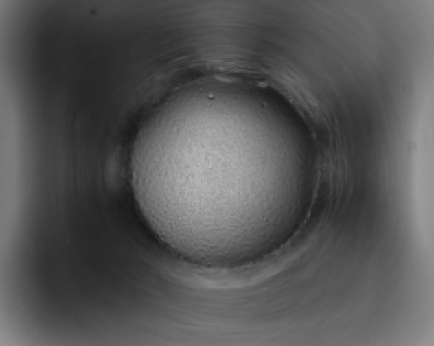 X0000093160030200710101202