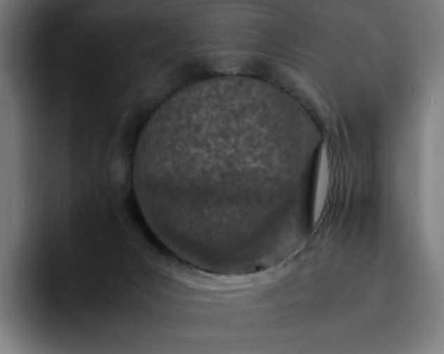 X0000093160031200710101202