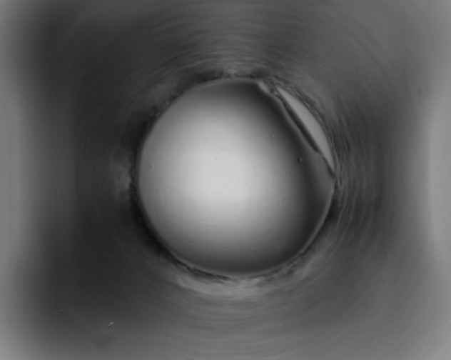 X0000093160032200710101202