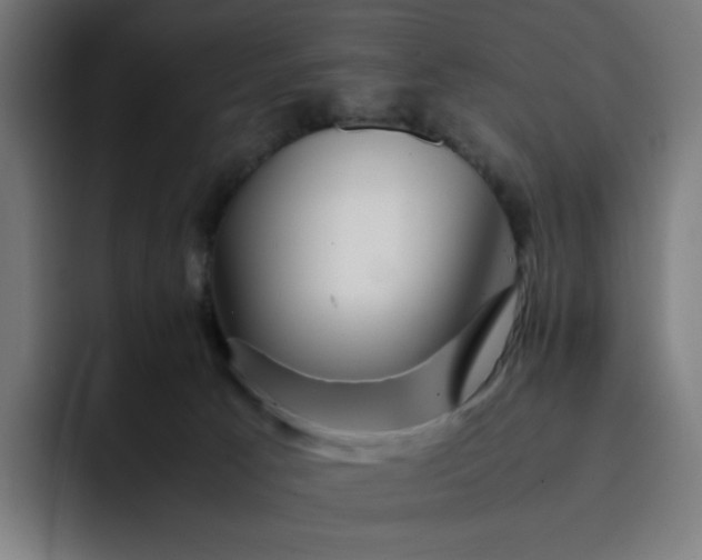 X0000093160033200710101202