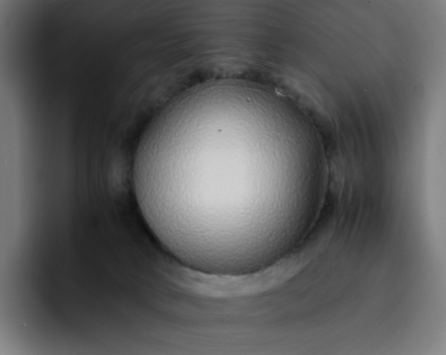 X0000093160034200710101202