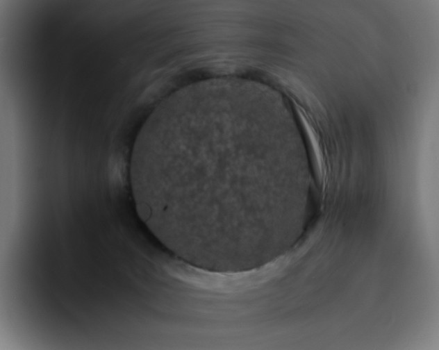 X0000093160035200710101202