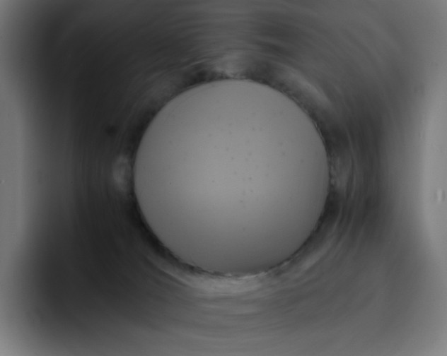 X0000093160036200710101202