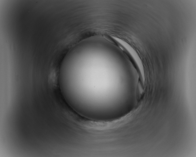 X0000093160037200710101202