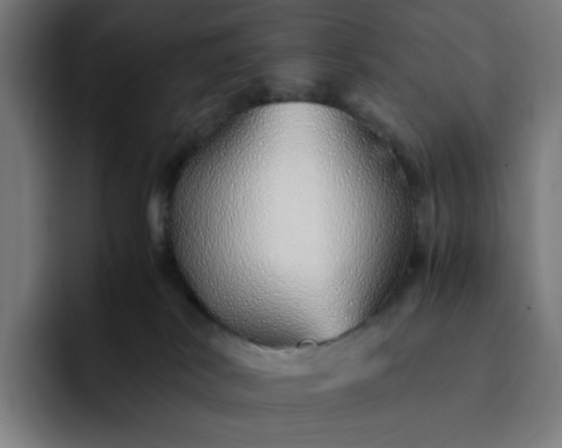 X0000093160038200710101202