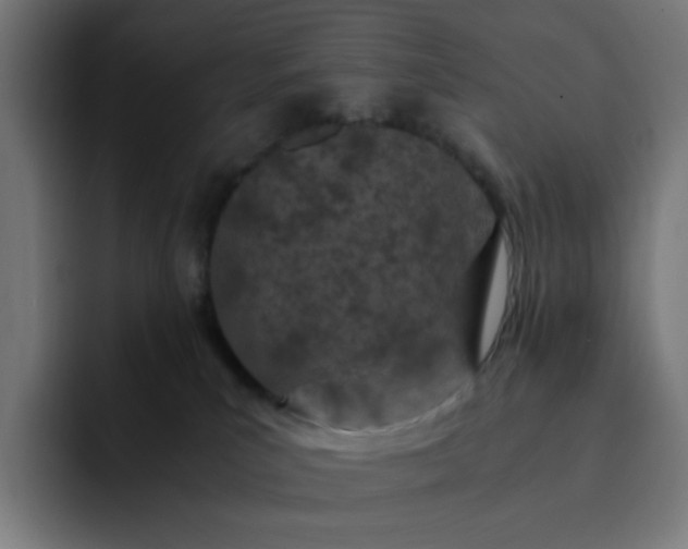 X0000093160039200710101202