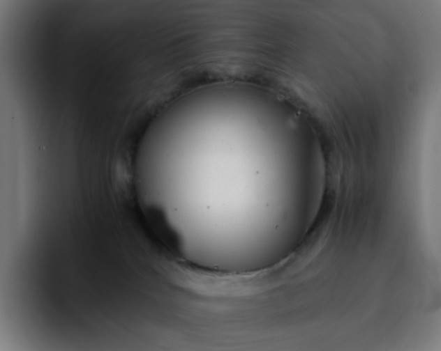 X0000093160040200710101202