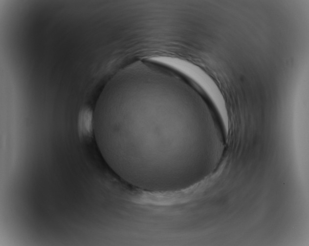 X0000093160041200710101202