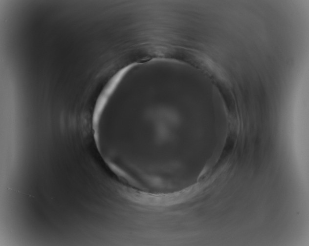X0000093160043200710101202