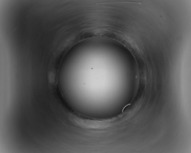 X0000093160044200710101202
