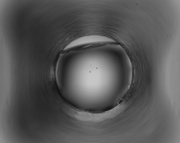X0000093160048200710101202