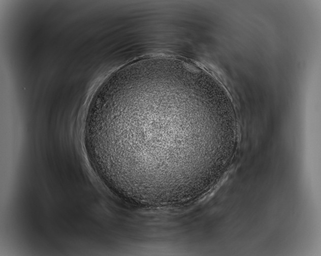X0000093160049200710101201