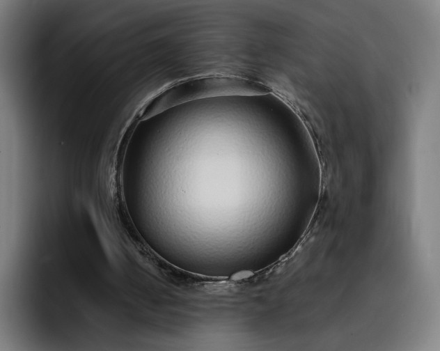 X0000093160050200710101201