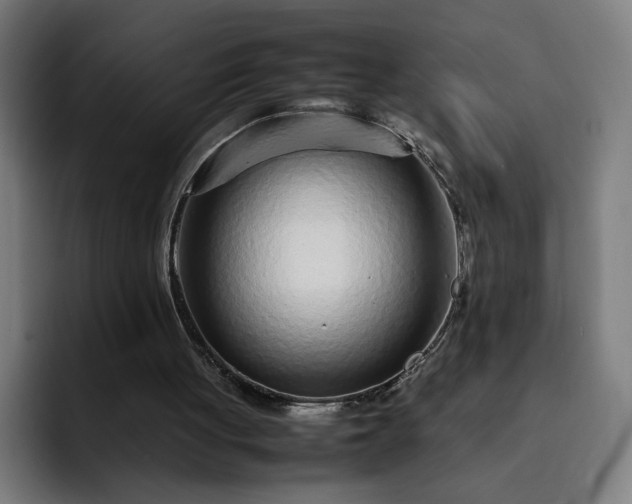 X0000093160051200710101201