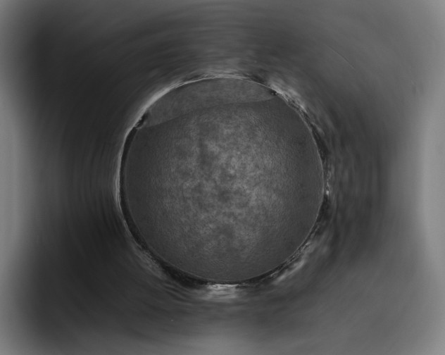 X0000093160052200710101201
