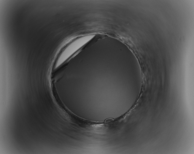 X0000093160054200710101201