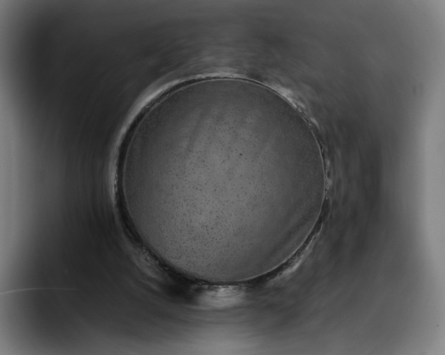 X0000093160056200710101201