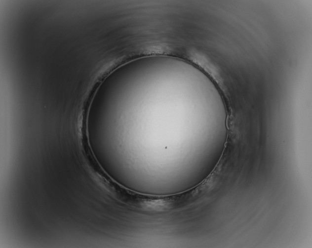 X0000093160058200710101201
