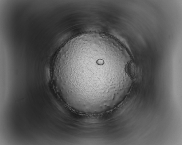 X0000093160061200710101201