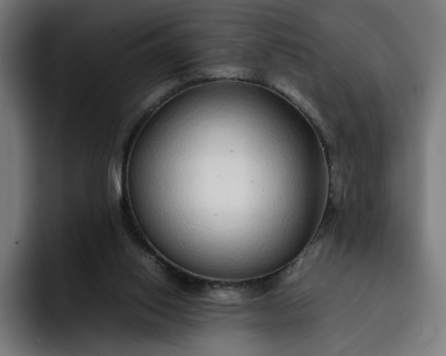 X0000093160062200710101201