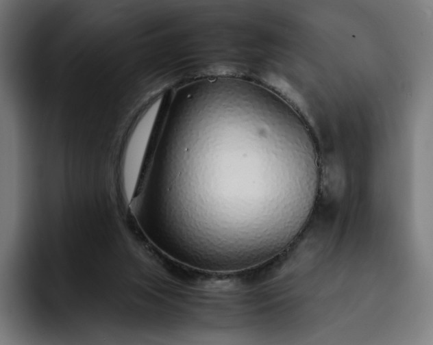 X0000093160063200710101201