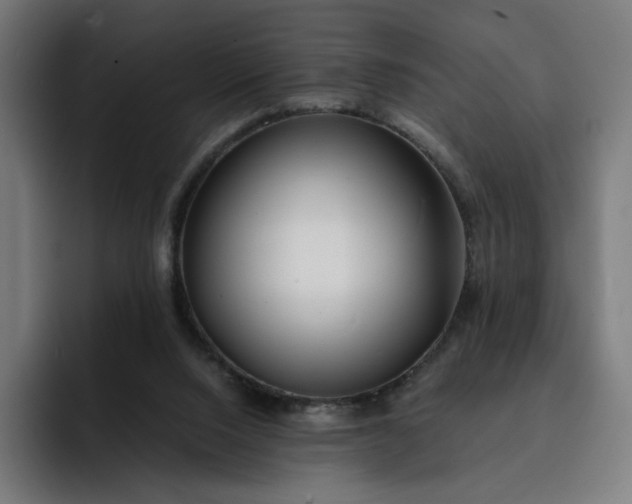 X0000093160064200710101201