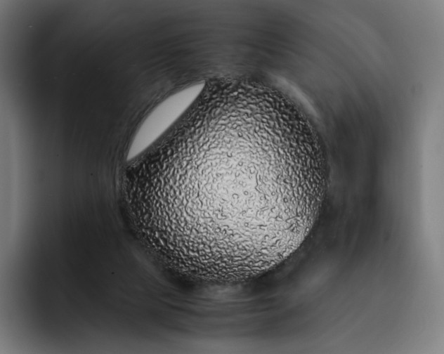 X0000093160065200710101201