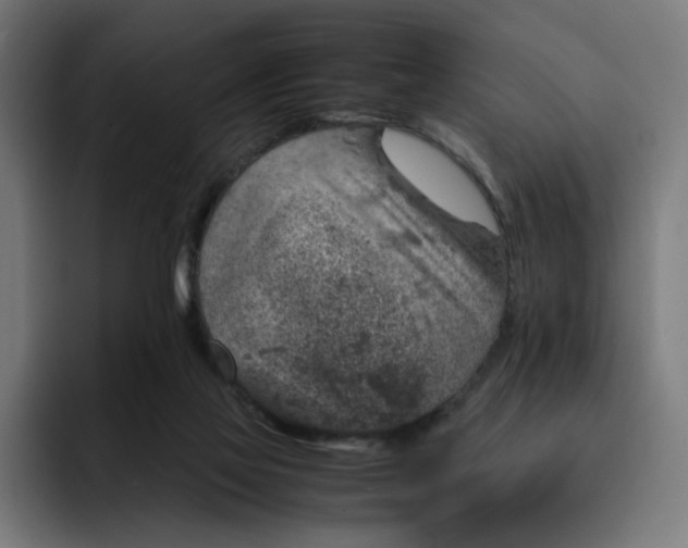 X0000093160069200710101201