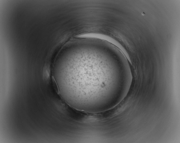 X0000093160072200710101201