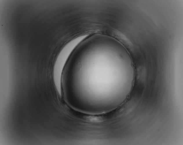 X0000093160073200710101201