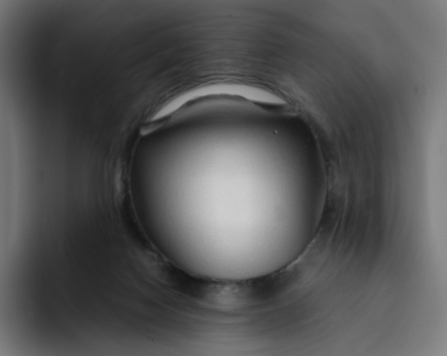 X0000093160074200710101201
