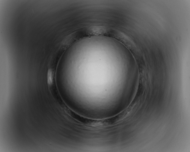 X0000093160075200710101201