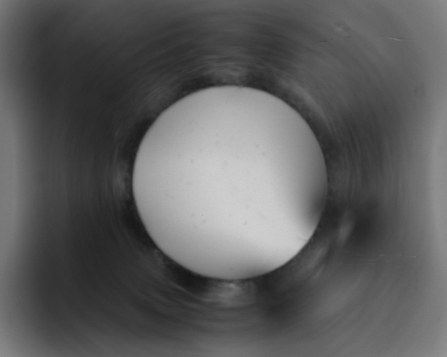 X0000093160083200710101202