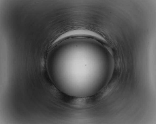 X0000093160084200710101202