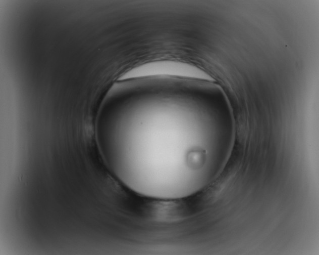 X0000093160085200710101202