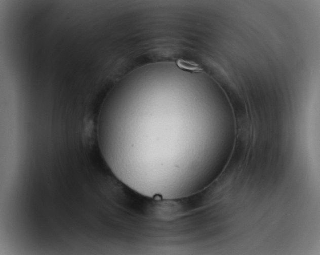 X0000093160087200710101202