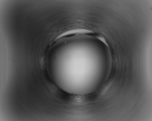 X0000093160088200710101202