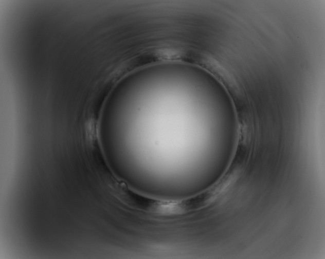 X0000093160093200710101202