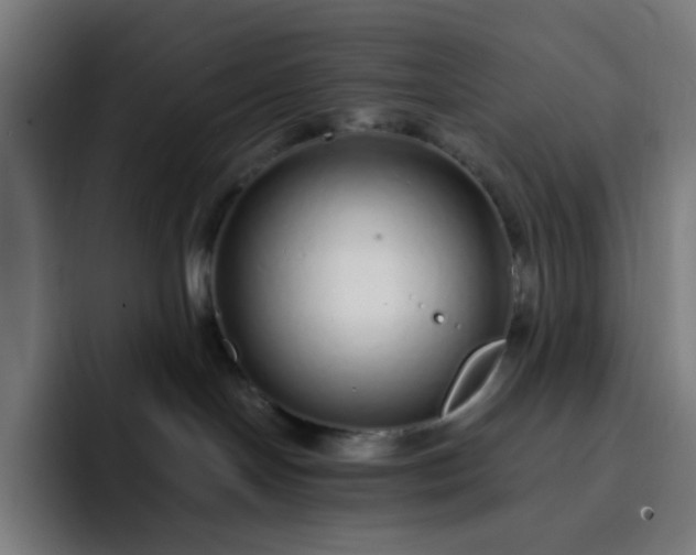 X0000093160094200710101202