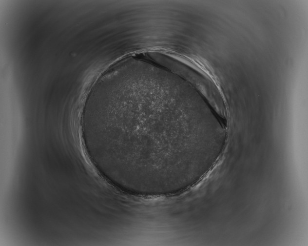 X0000093160097200710101201