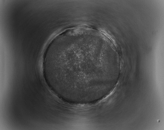 X0000093160101200710101201